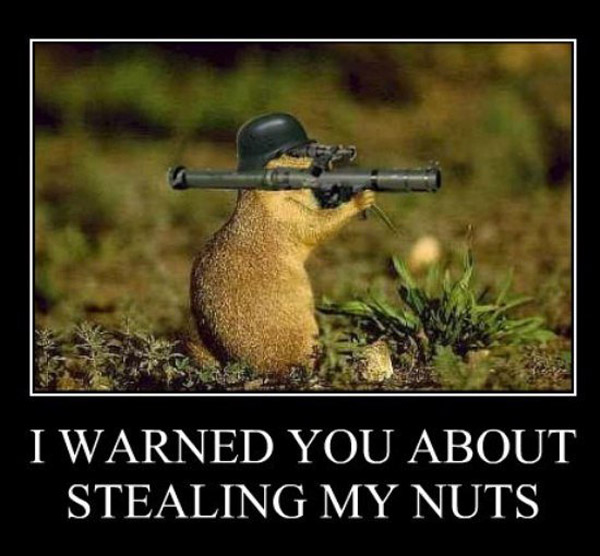 warned-you-about-stealing-my-nuts-funny-demotivational-posters-pics